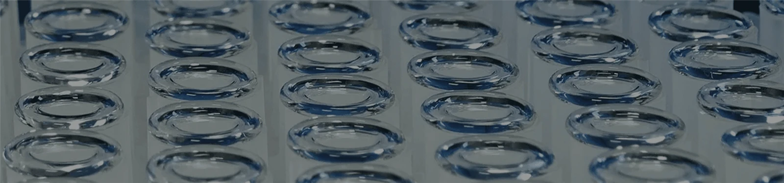 modular-1